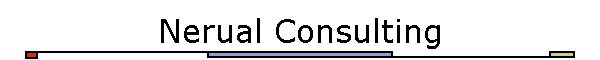 Nerual Consulting